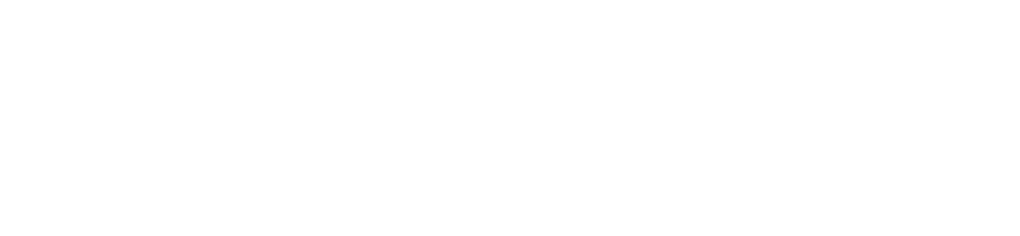 Logo Matices